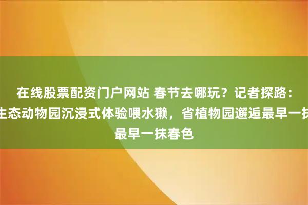 在线股票配资门户网站 春节去哪玩？记者探路：长沙生态动物园沉浸式体验喂水獭，省植物园邂逅最早一抹春色
